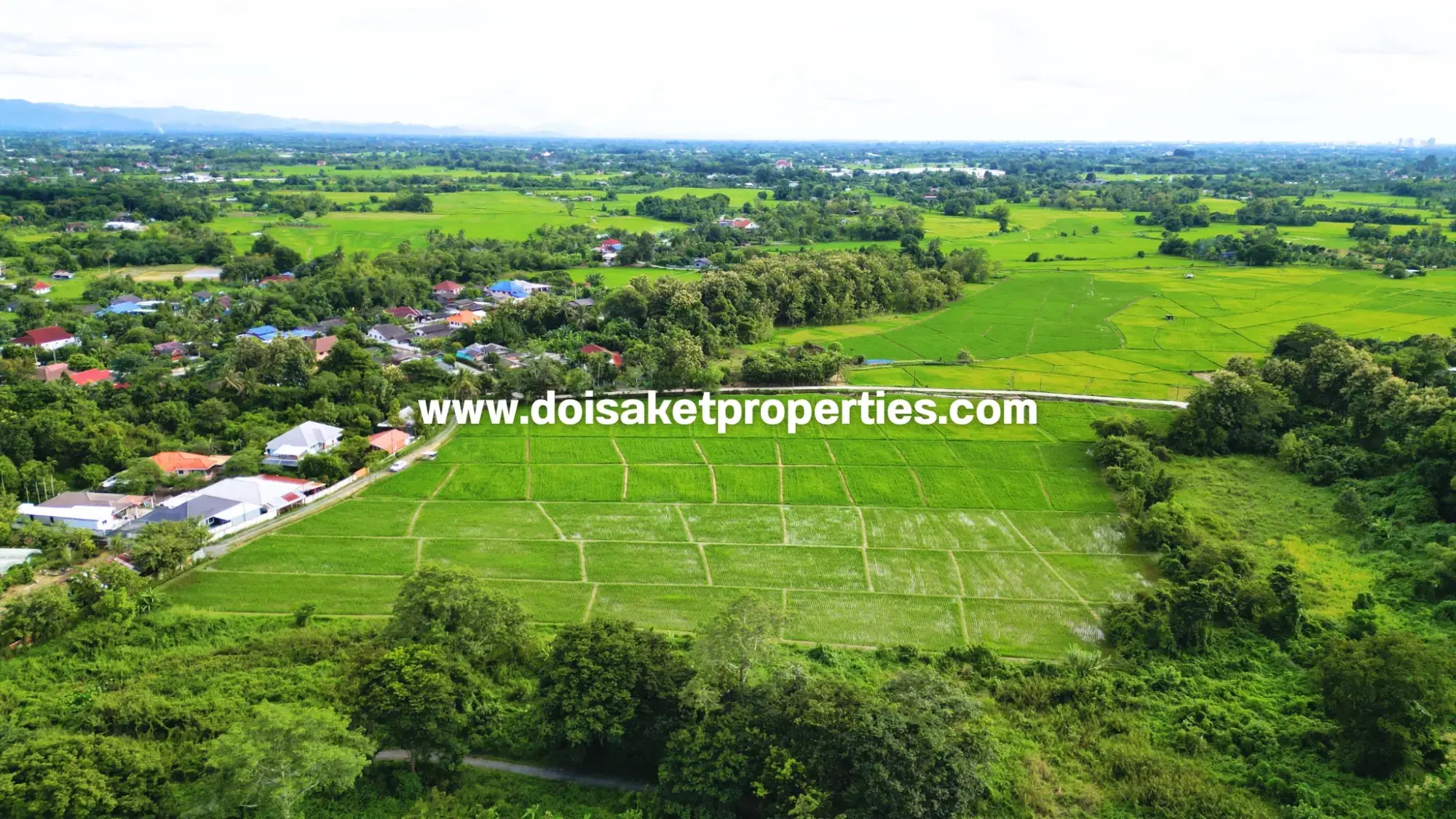 (LS415-09) Great 9-Rai Plot of Land for Sale with Doi Suthep Views in Luang Nuea, Doi Saket, Chiang Mai