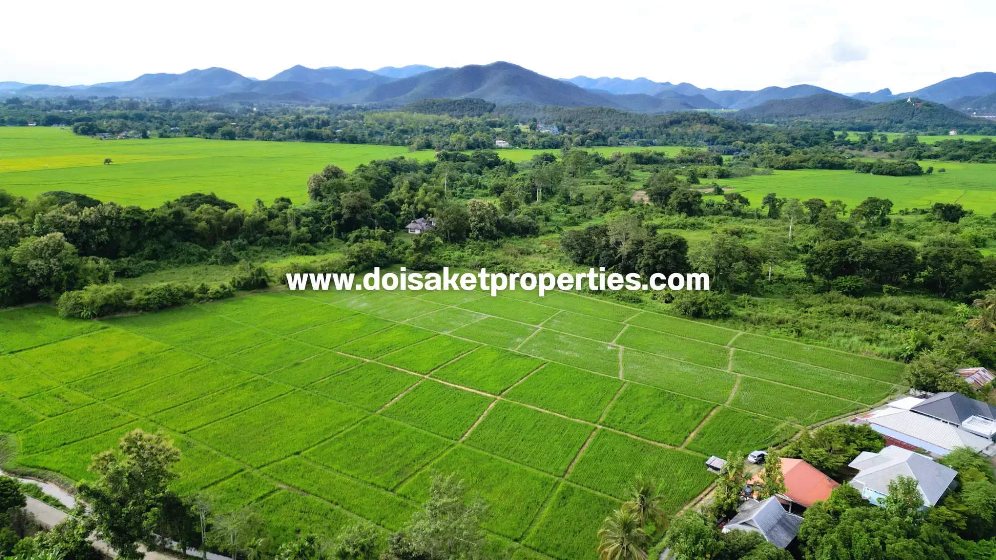 (LS415-09) Great 9-Rai Plot of Land for Sale with Doi Suthep Views in Luang Nuea, Doi Saket, Chiang Mai