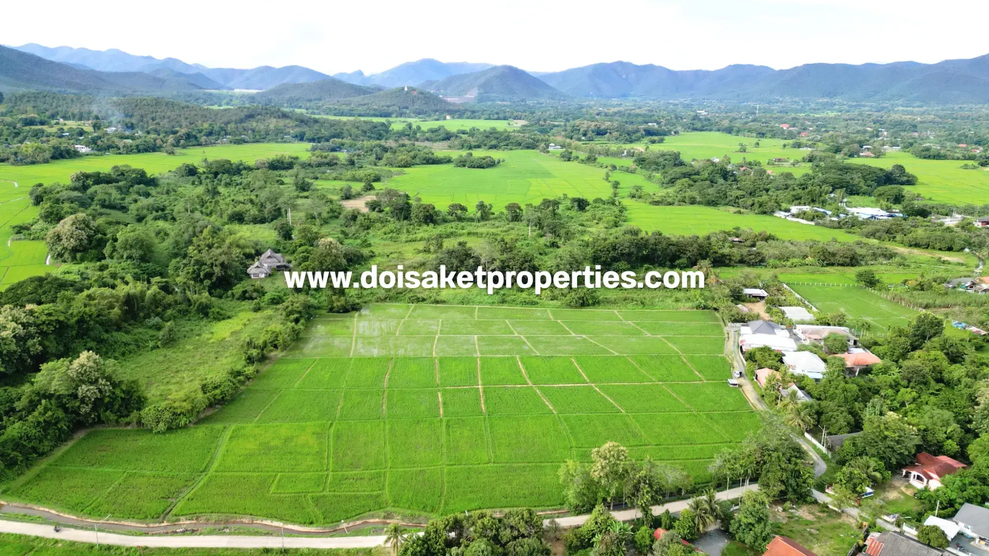 (LS415-09) Great 9-Rai Plot of Land for Sale with Doi Suthep Views in Luang Nuea, Doi Saket, Chiang Mai