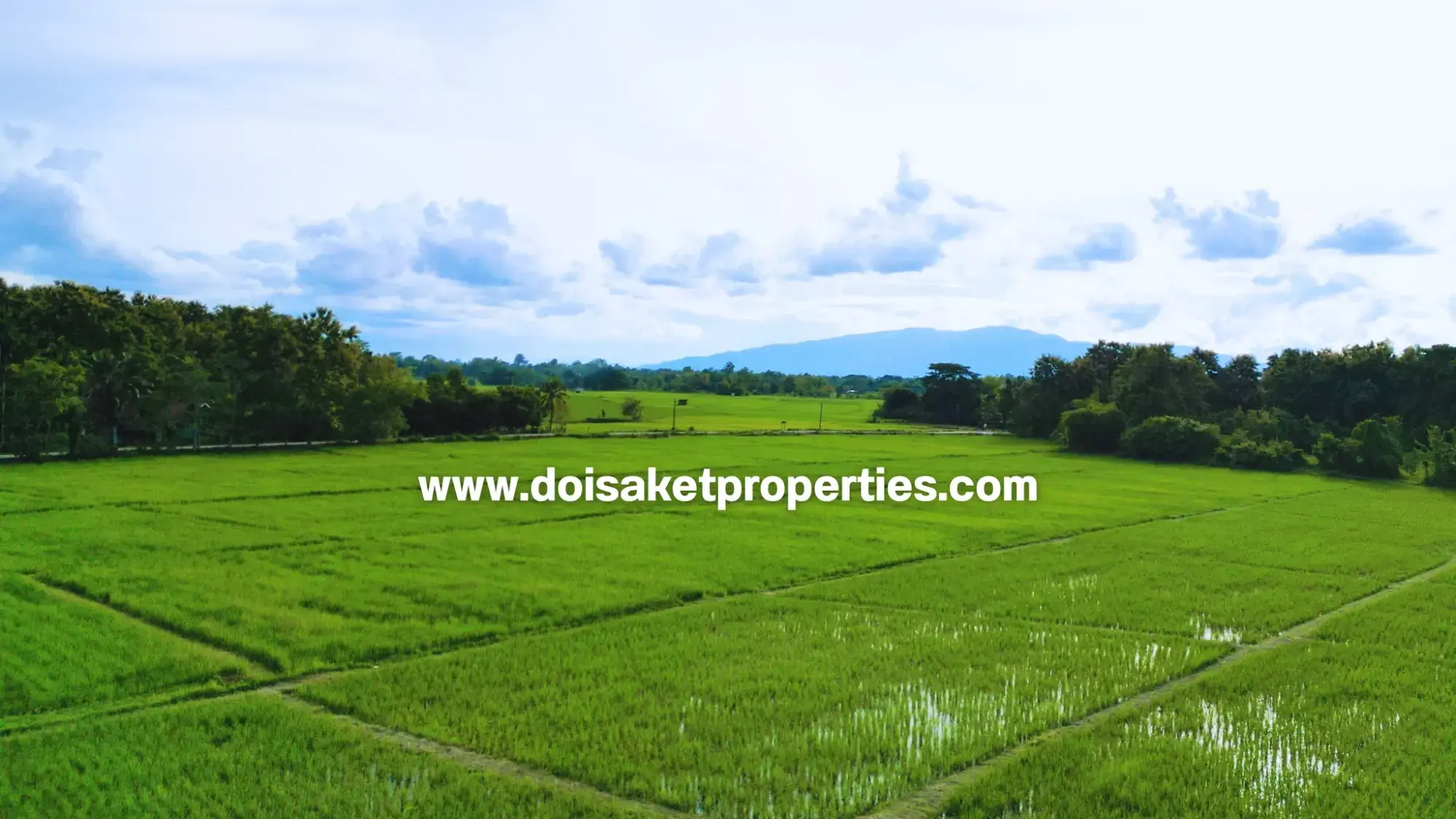 (LS415-09) Great 9-Rai Plot of Land for Sale with Doi Suthep Views in Luang Nuea, Doi Saket, Chiang Mai