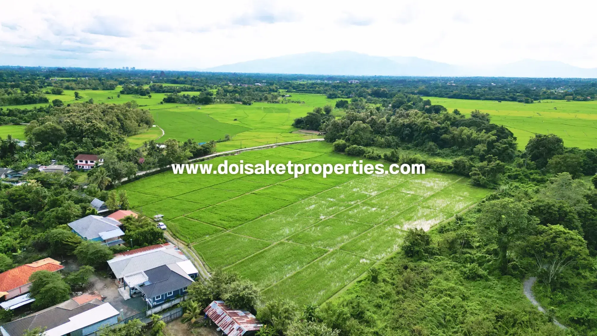 (LS415-09) Great 9-Rai Plot of Land for Sale with Doi Suthep Views in Luang Nuea, Doi Saket, Chiang Mai