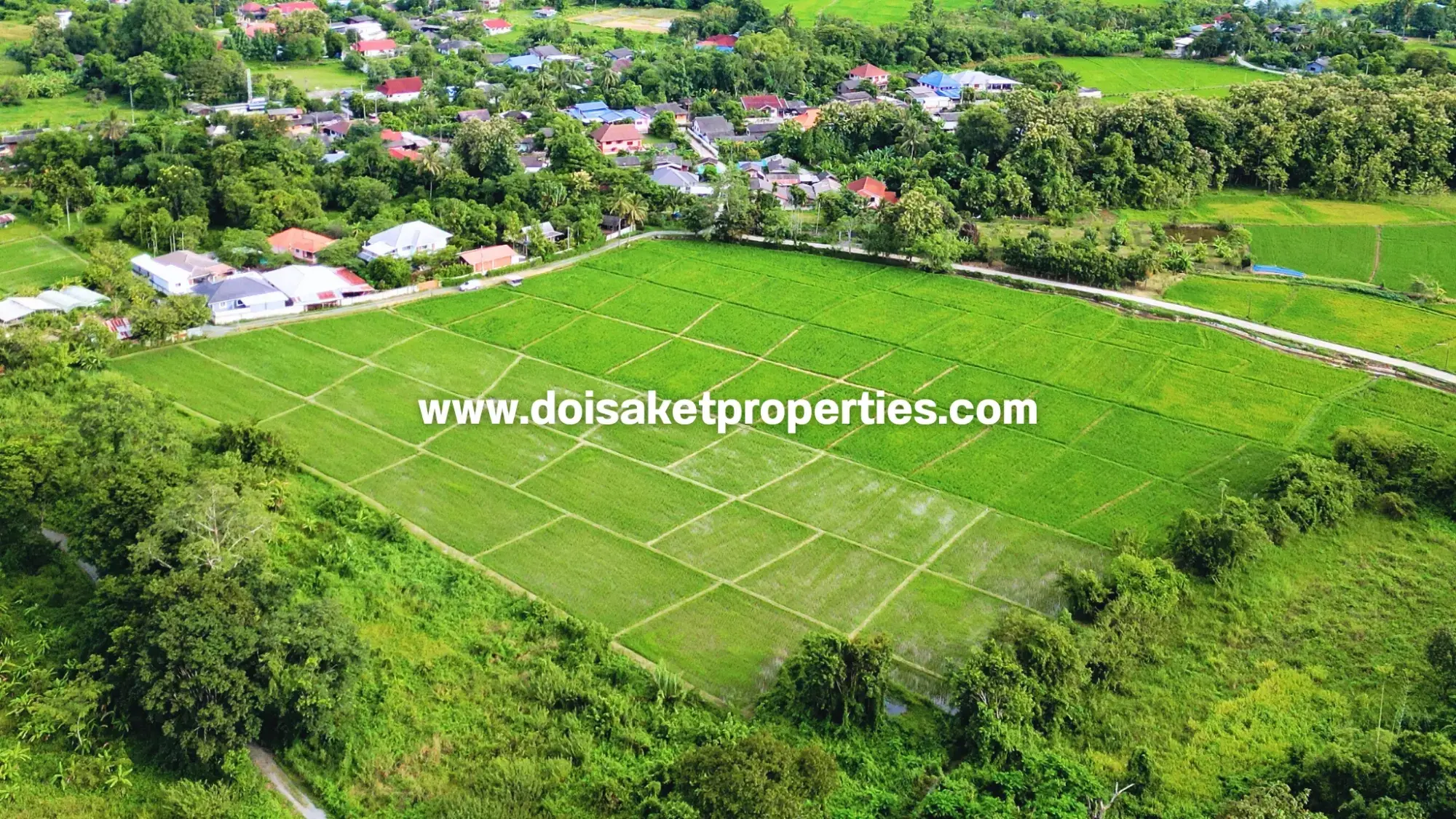 (LS415-09) Great 9-Rai Plot of Land for Sale with Doi Suthep Views in Luang Nuea, Doi Saket, Chiang Mai