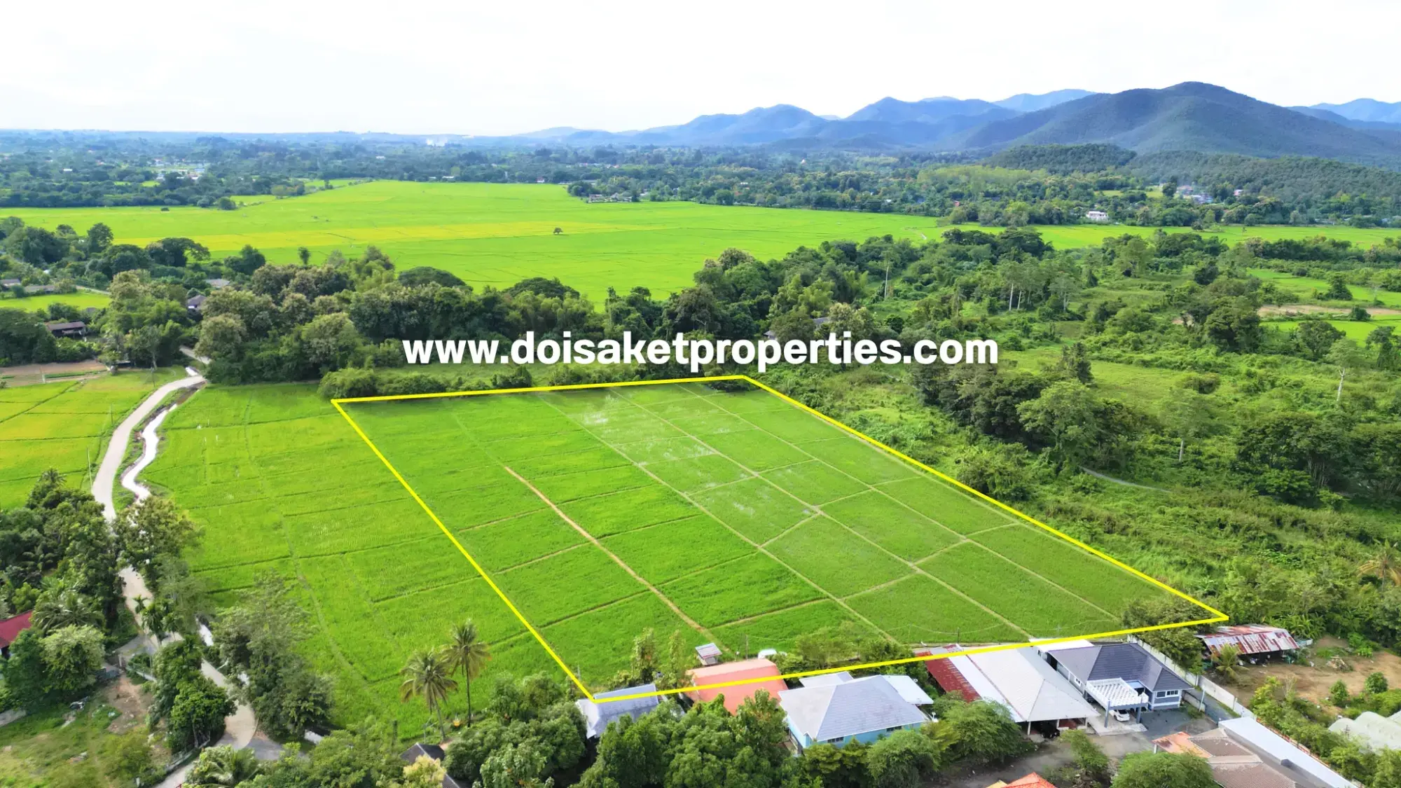 (LS415-09) Great 9-Rai Plot of Land for Sale with Doi Suthep Views in Luang Nuea, Doi Saket, Chiang Mai