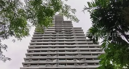 New development