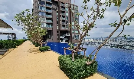 New development