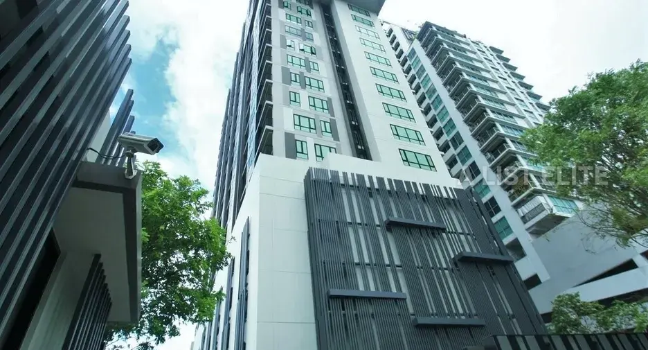 THE VERTICAL AREE