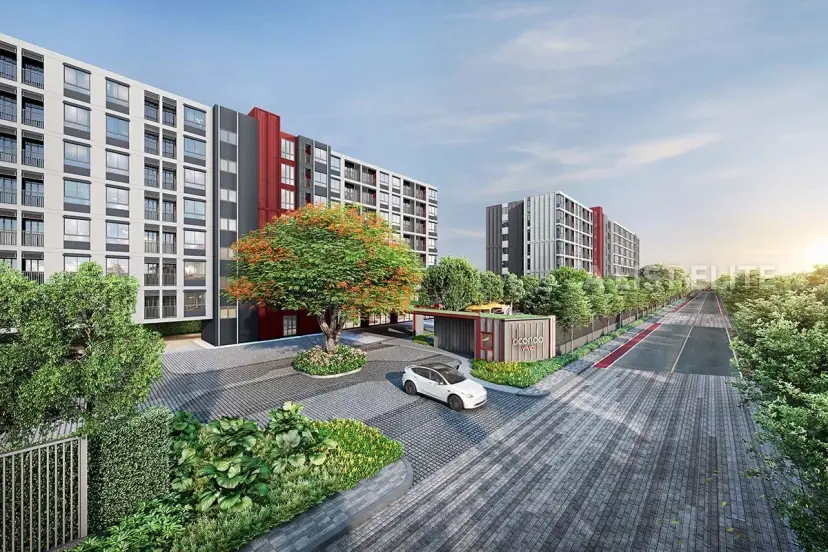 New development