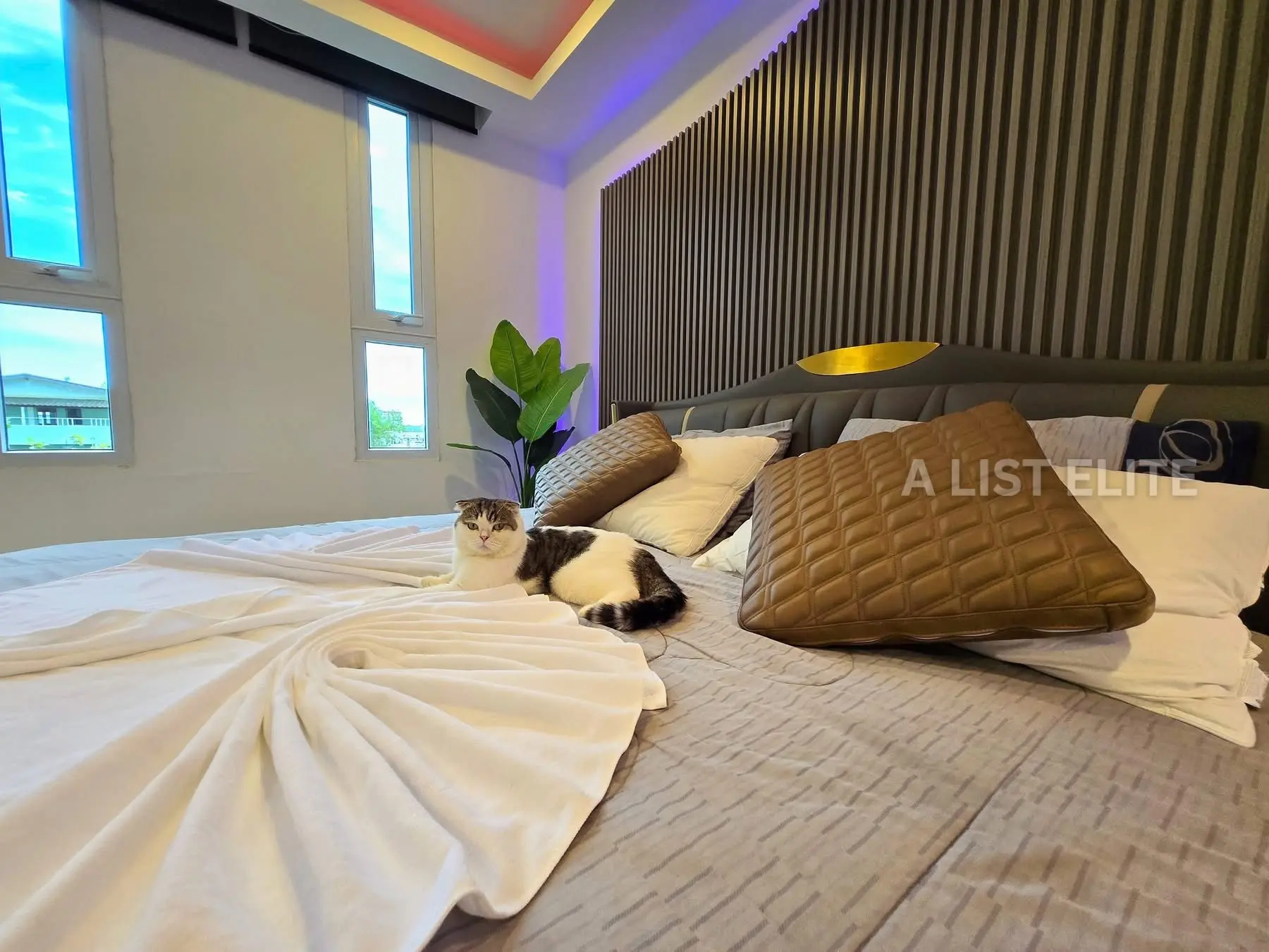 คอนโด 3 ห้องนอน 3 ห้องน้ำ โครงการมูเซลานา พัทยา