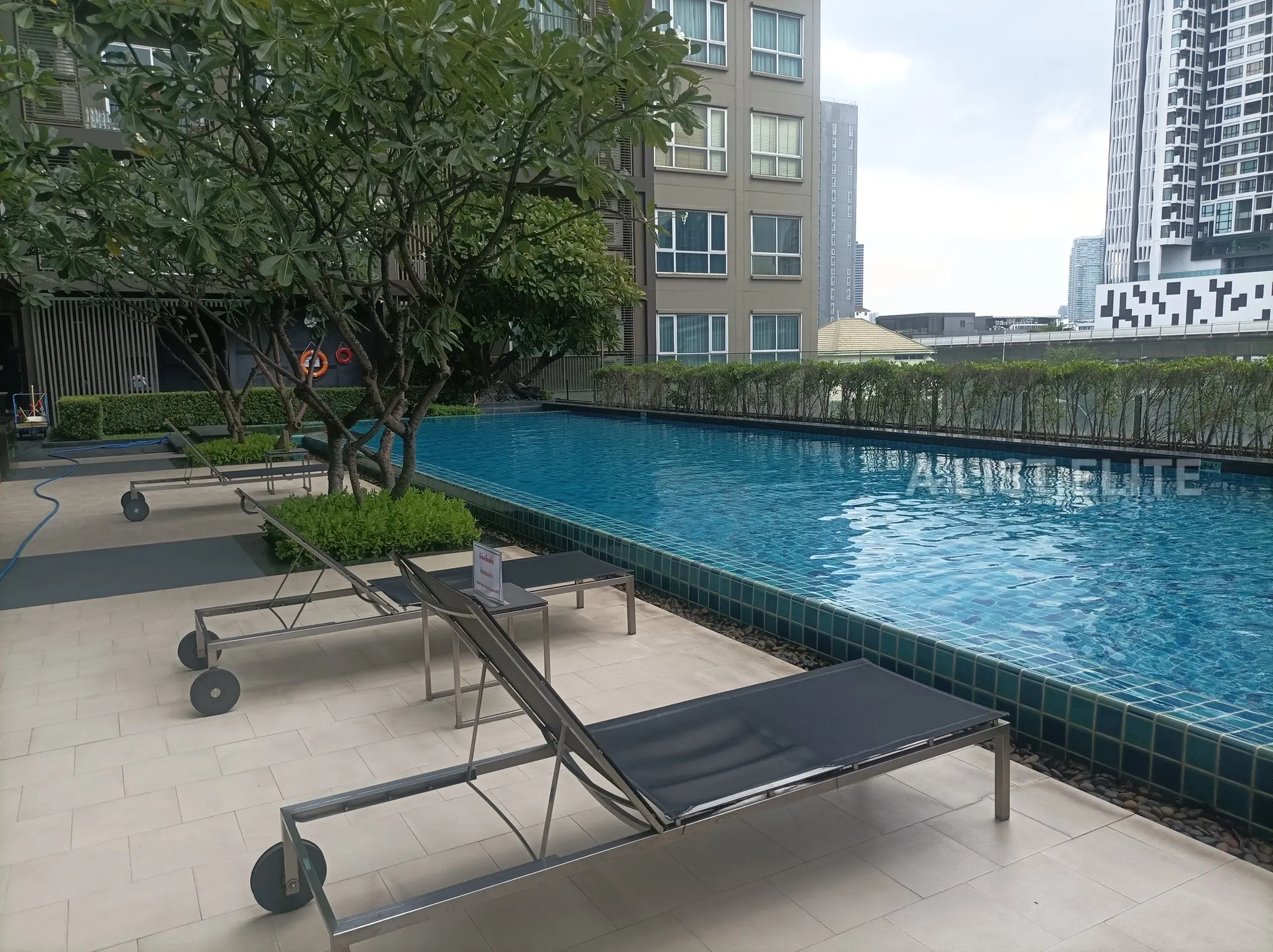 Hive Taksin