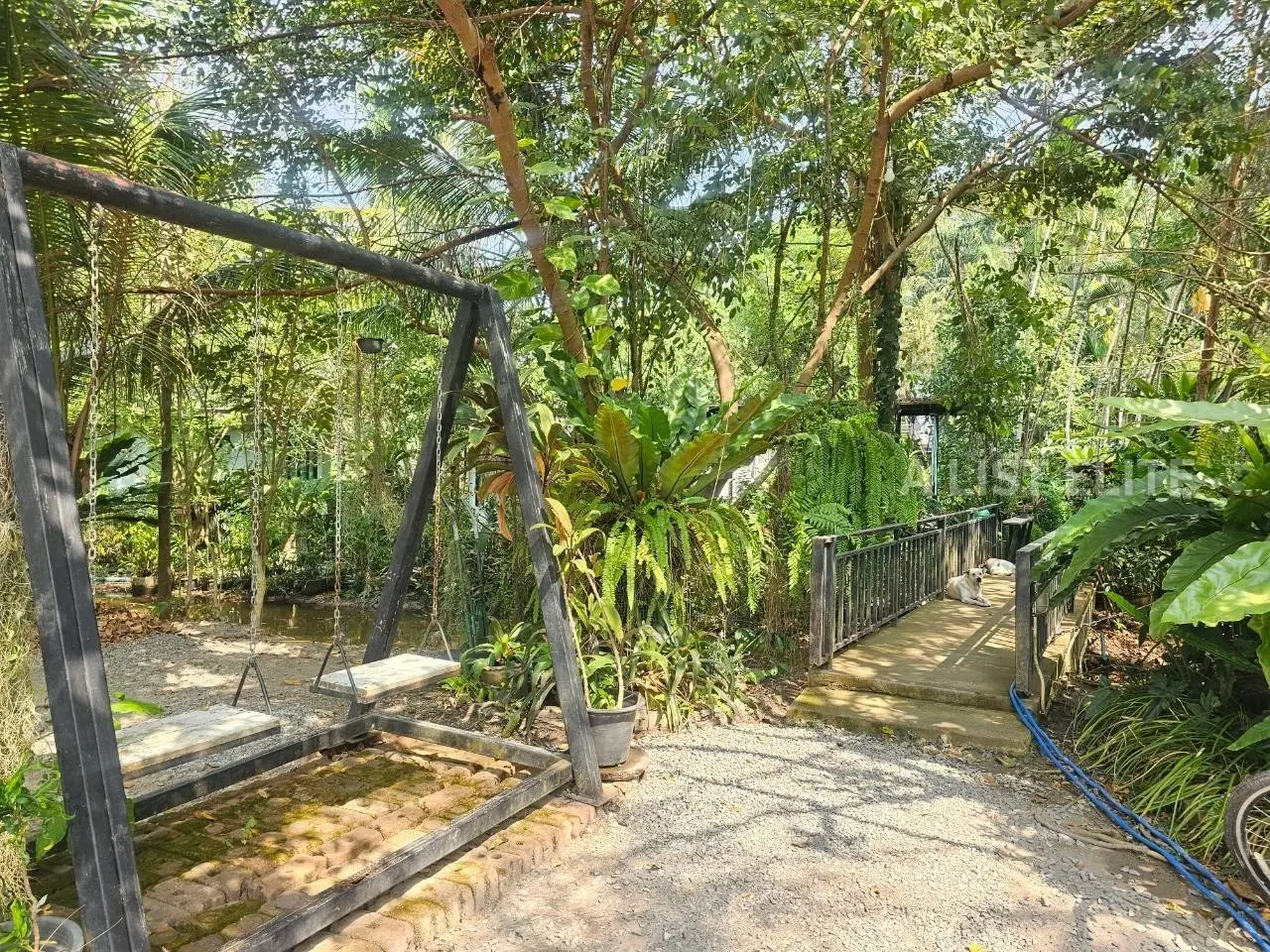 Bang Saray Resort