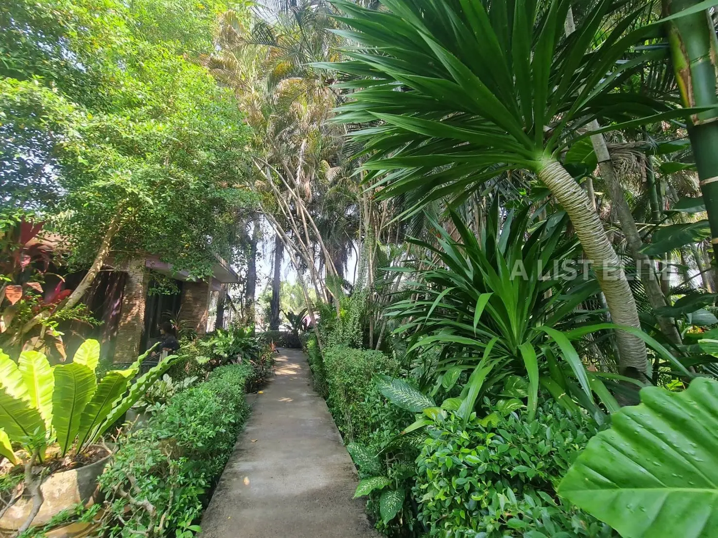 Bang Saray Resort