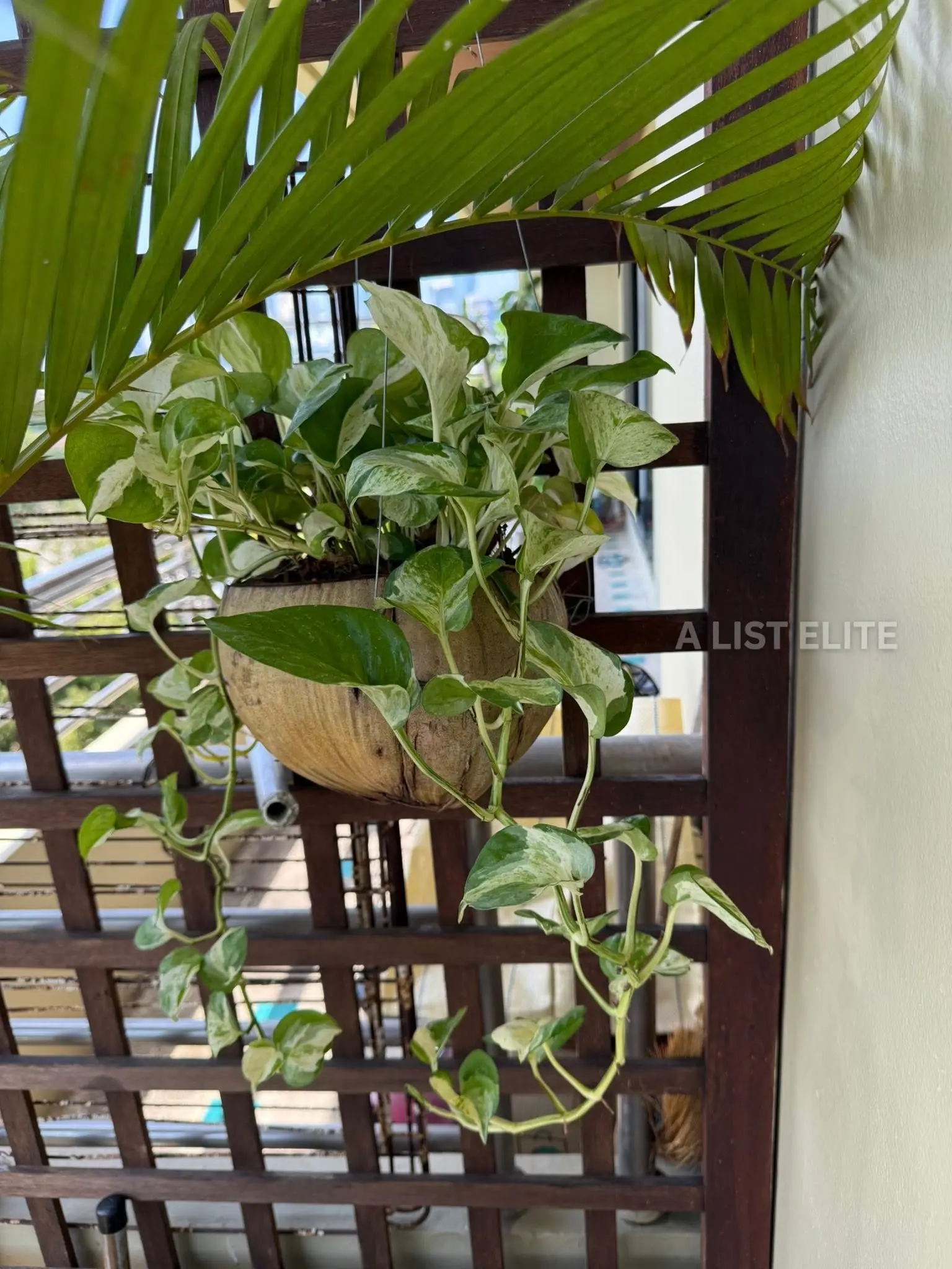 สุพรีม วิลล์