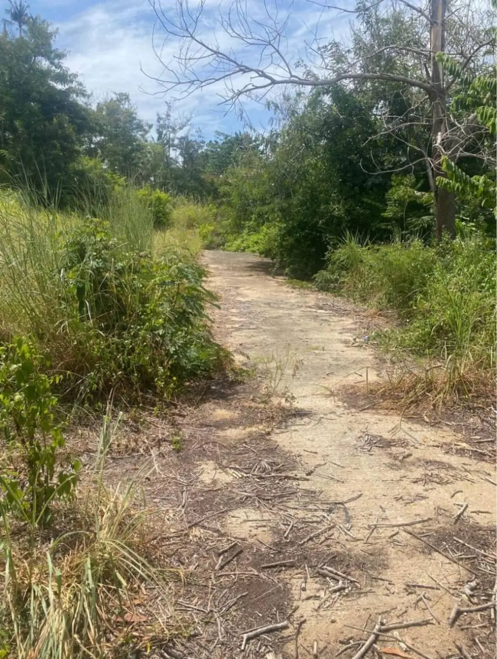 
    1200 sqm of Seaview Freehold Land in Mae Nam
  