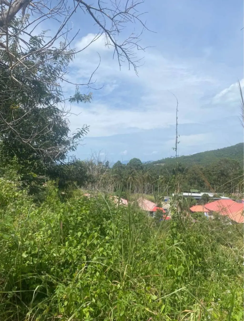 
    1200 sqm of Seaview Freehold Land in Mae Nam
  