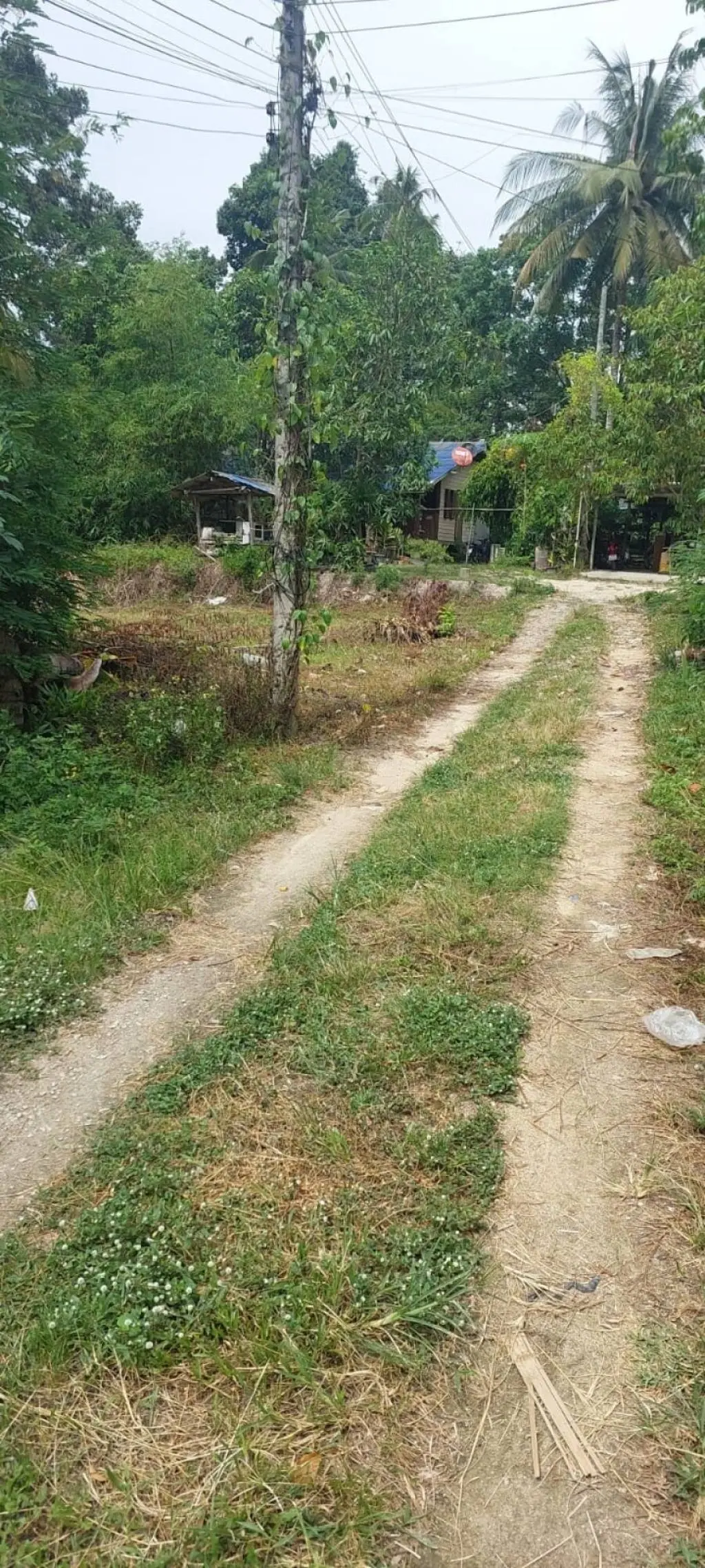 
    536 sqm of Scenic Freehold Land in Mae Nam
  