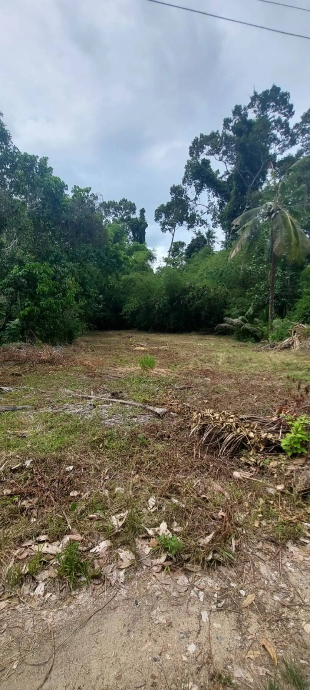 
    536 sqm of Scenic Freehold Land in Mae Nam
  