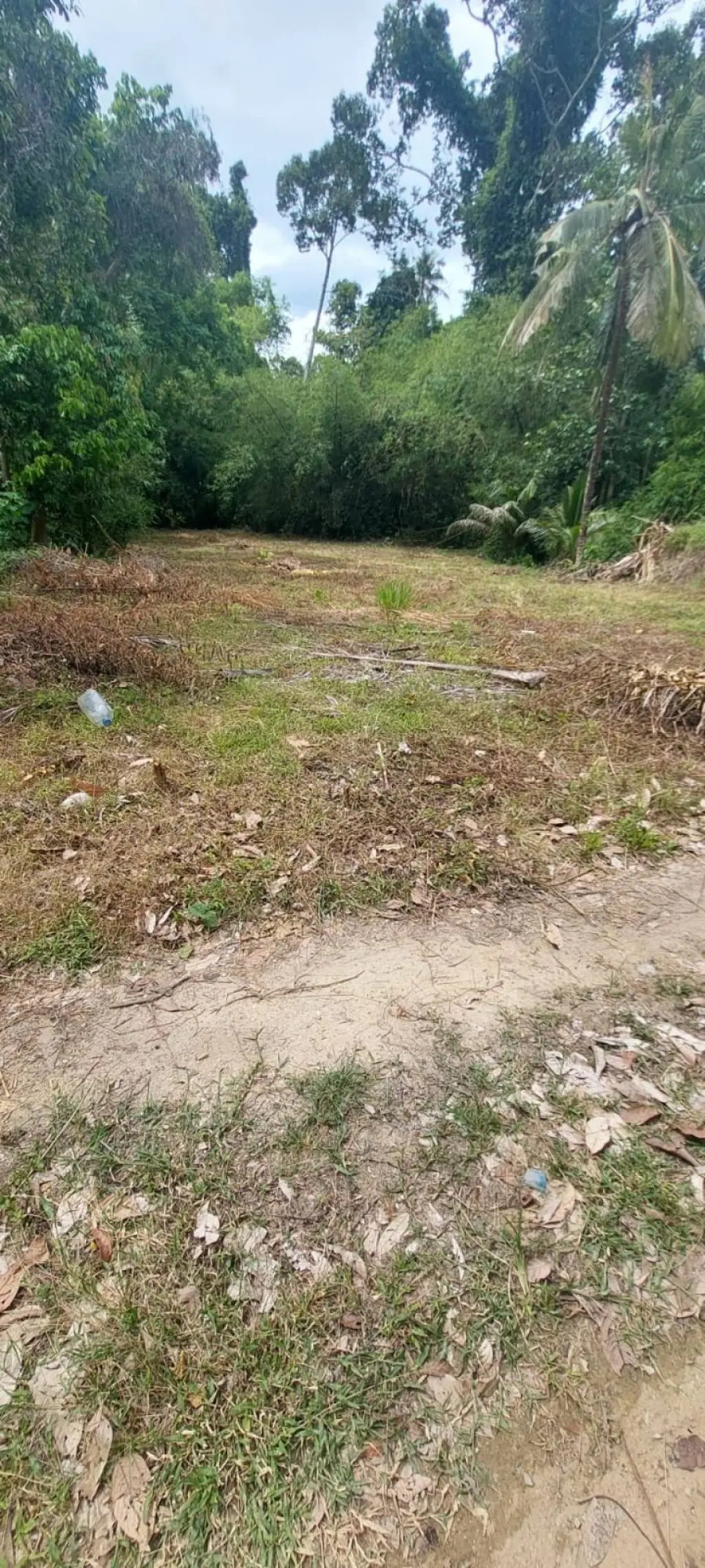 
    536 sqm of Scenic Freehold Land in Mae Nam
  