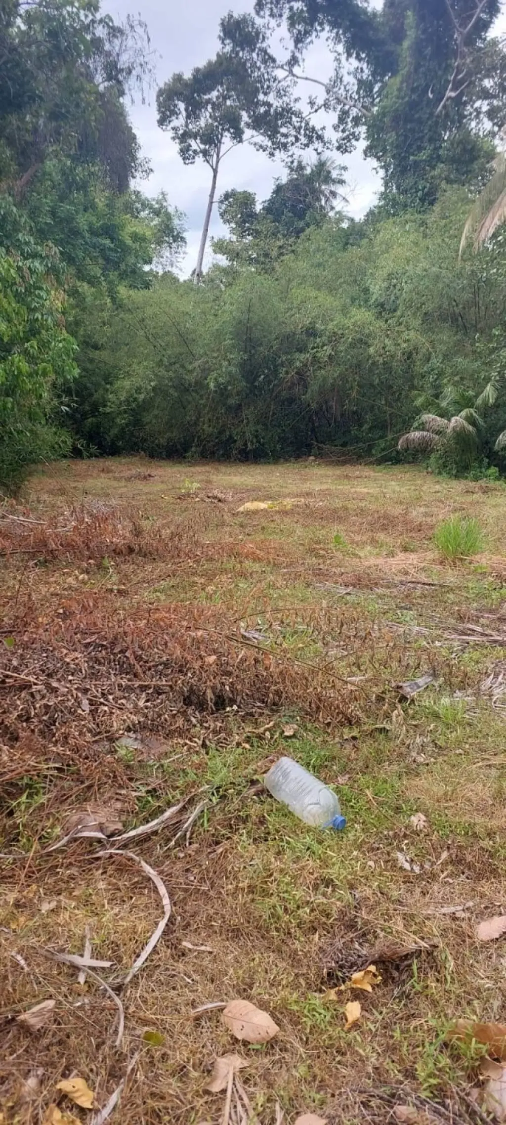 
    536 sqm of Scenic Freehold Land in Mae Nam
  