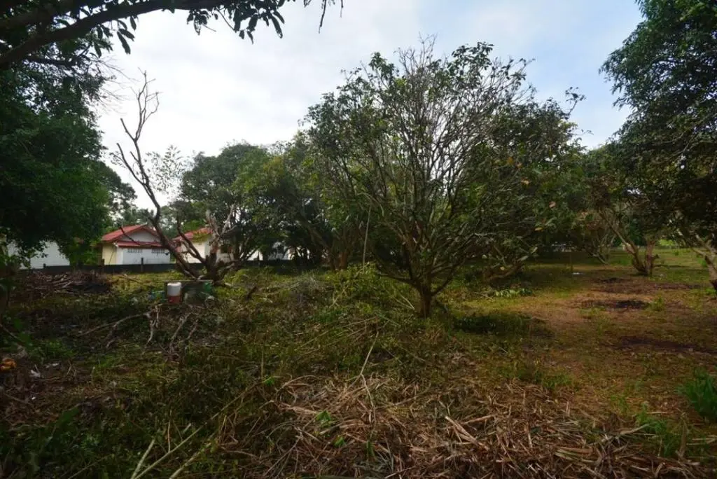 
    2.1 Rai - Spacious Land for Sale in Bo Phut.
  