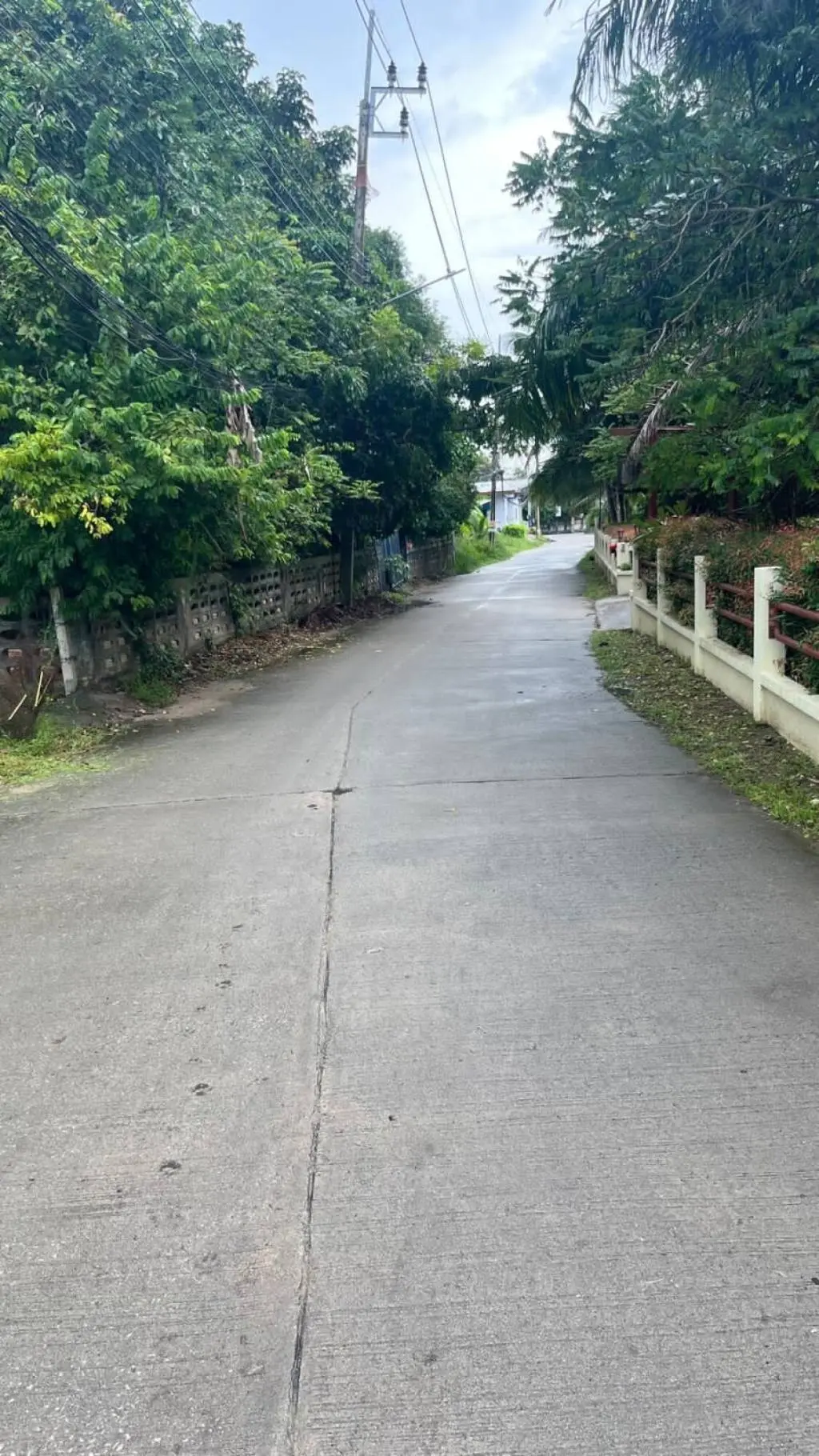 
    800 SQM of Scenic flat Freehold Land in Lamai
  