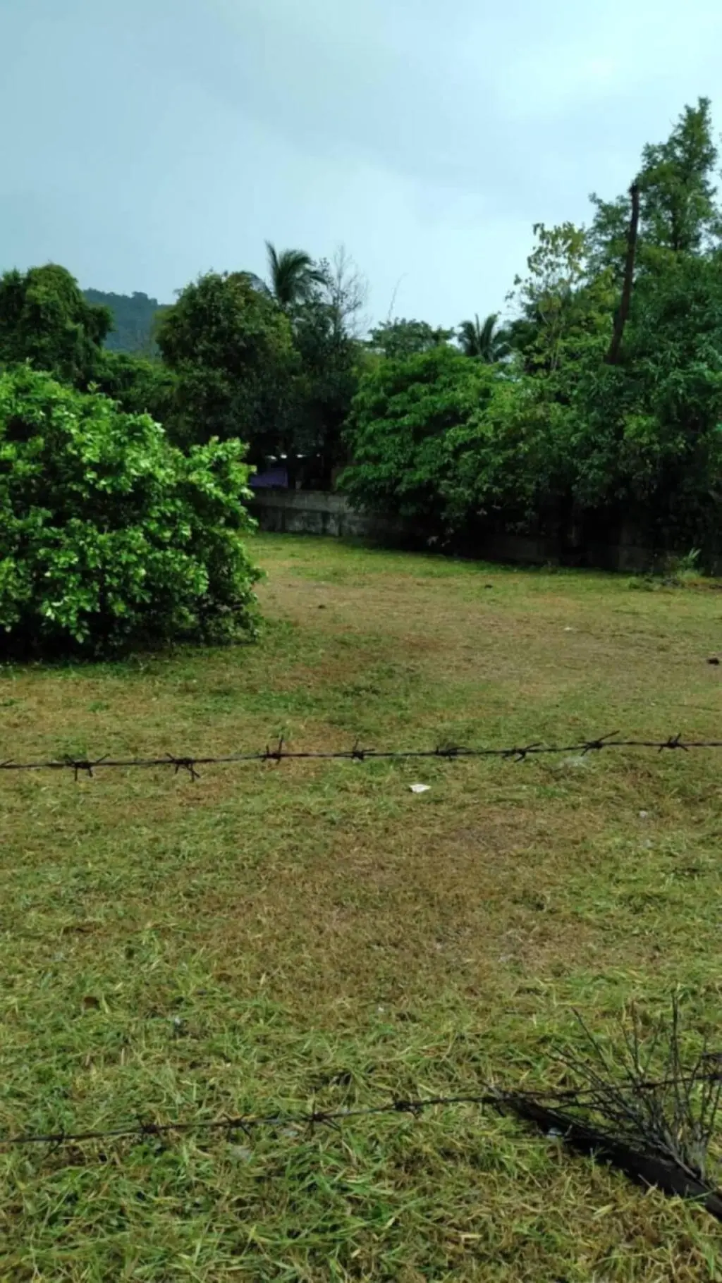 
    800 SQM of Scenic flat Freehold Land in Lamai
  