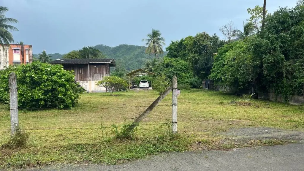 
    800 SQM of Scenic flat Freehold Land in Lamai
  