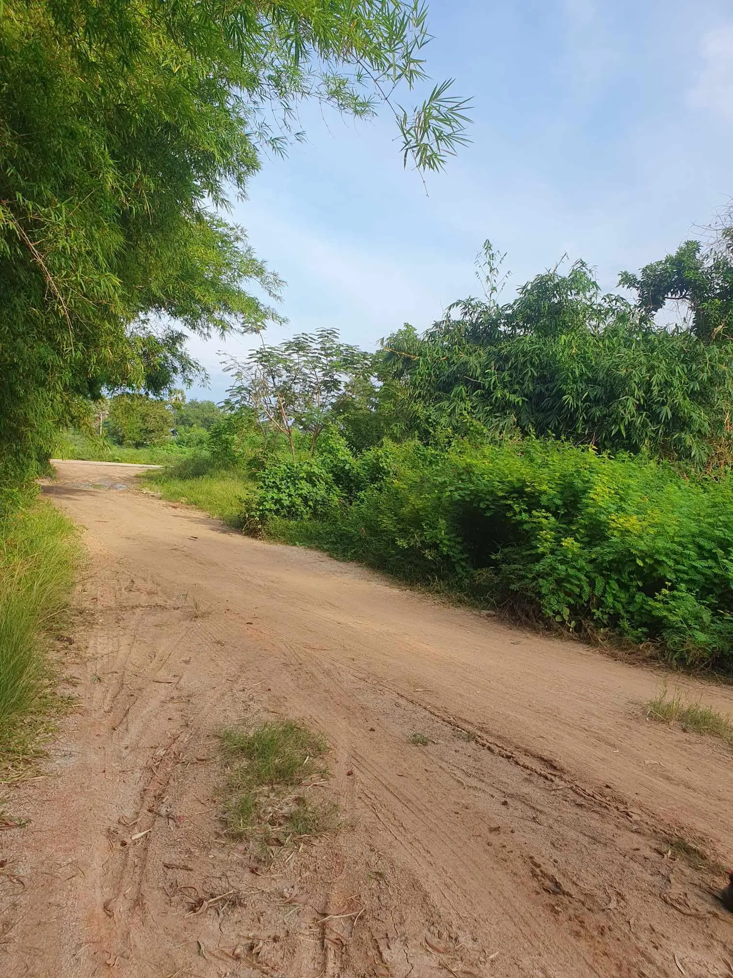 6 Rai Of Prime Land On Chaweng Lake 