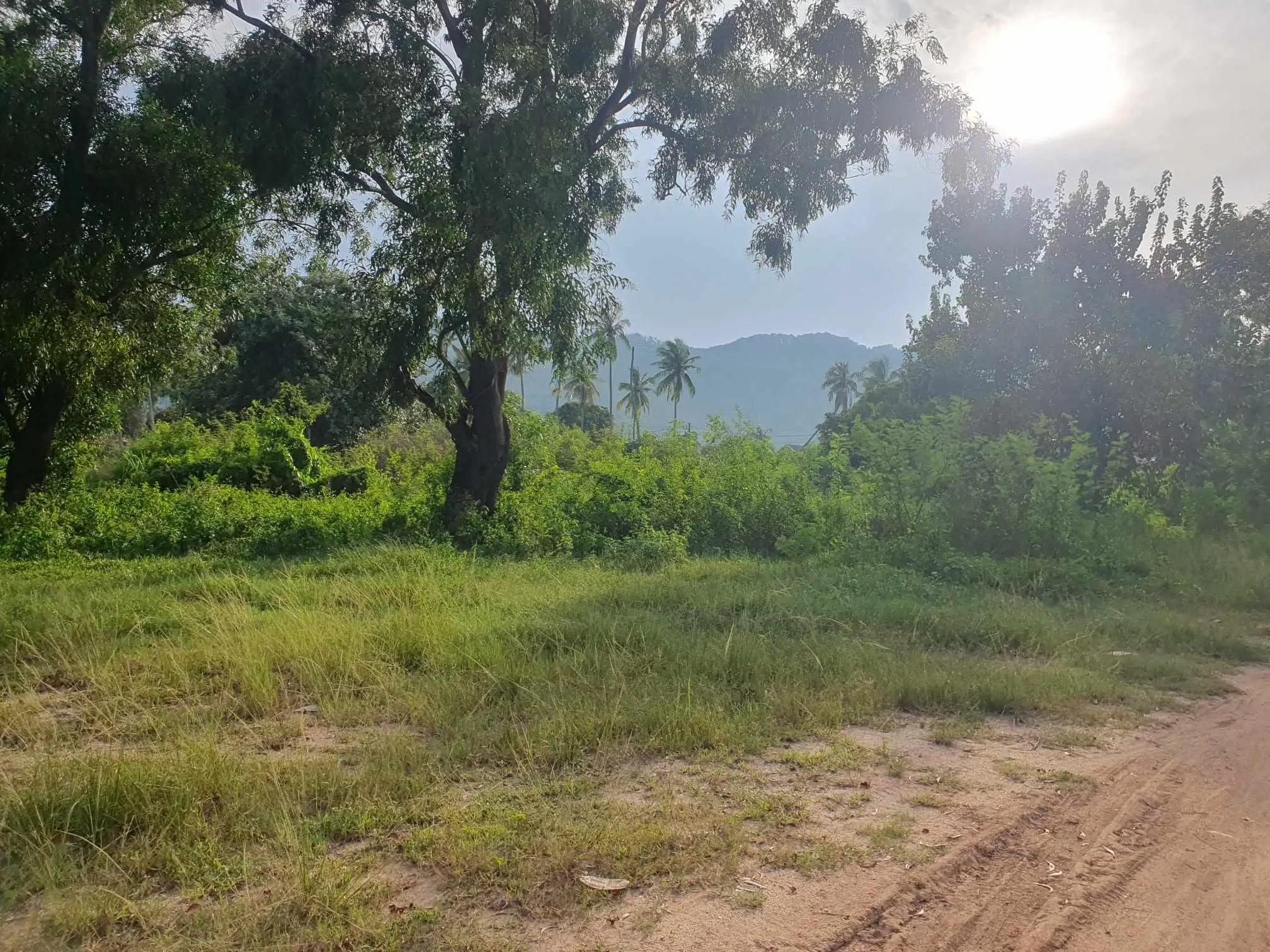 6 Rai Of Prime Land On Chaweng Lake 