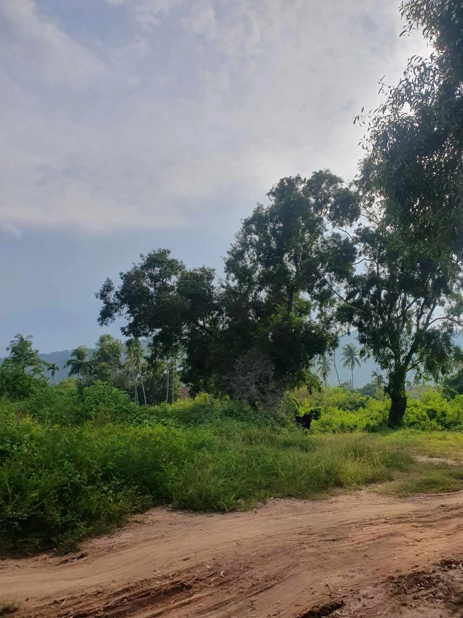 6 Rai Of Prime Land On Chaweng Lake 