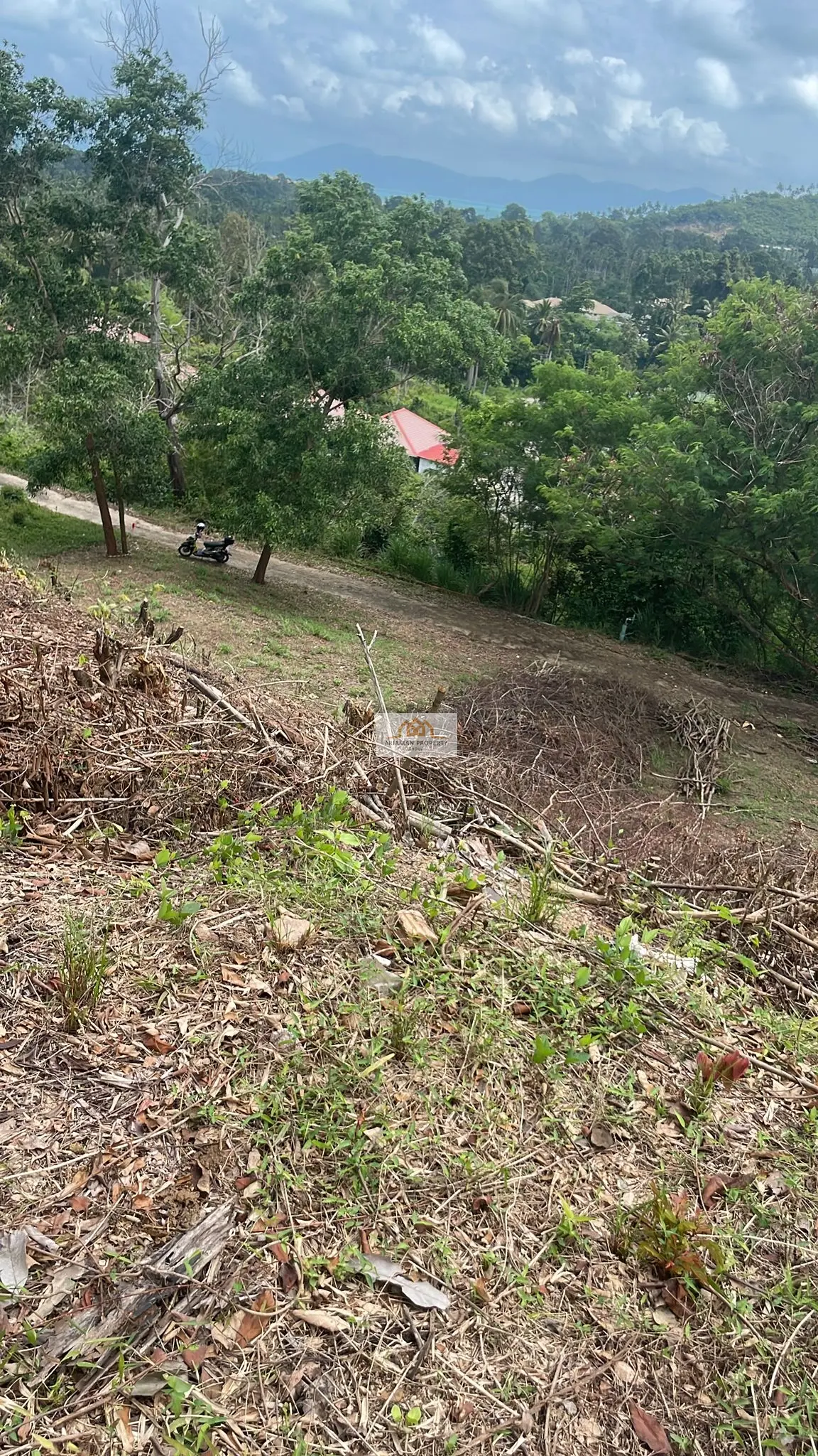 1,200 sqm of Freehold Land in Maenam with Lush Greenery and Mountain Views