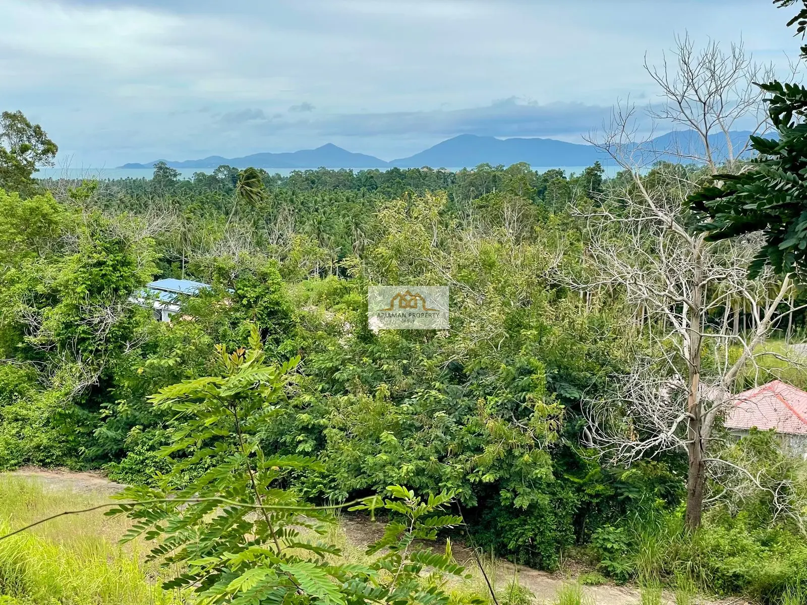 1,200 sqm of Freehold Land in Maenam with Lush Greenery and Mountain Views