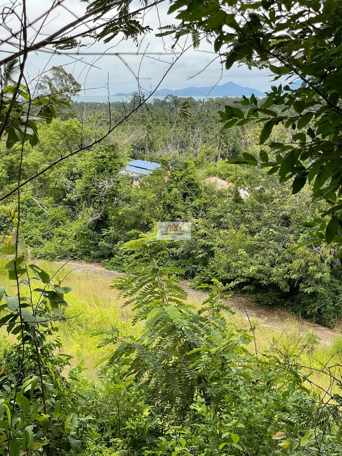 1,200 sqm of Freehold Land in Maenam with Lush Greenery and Mountain Views