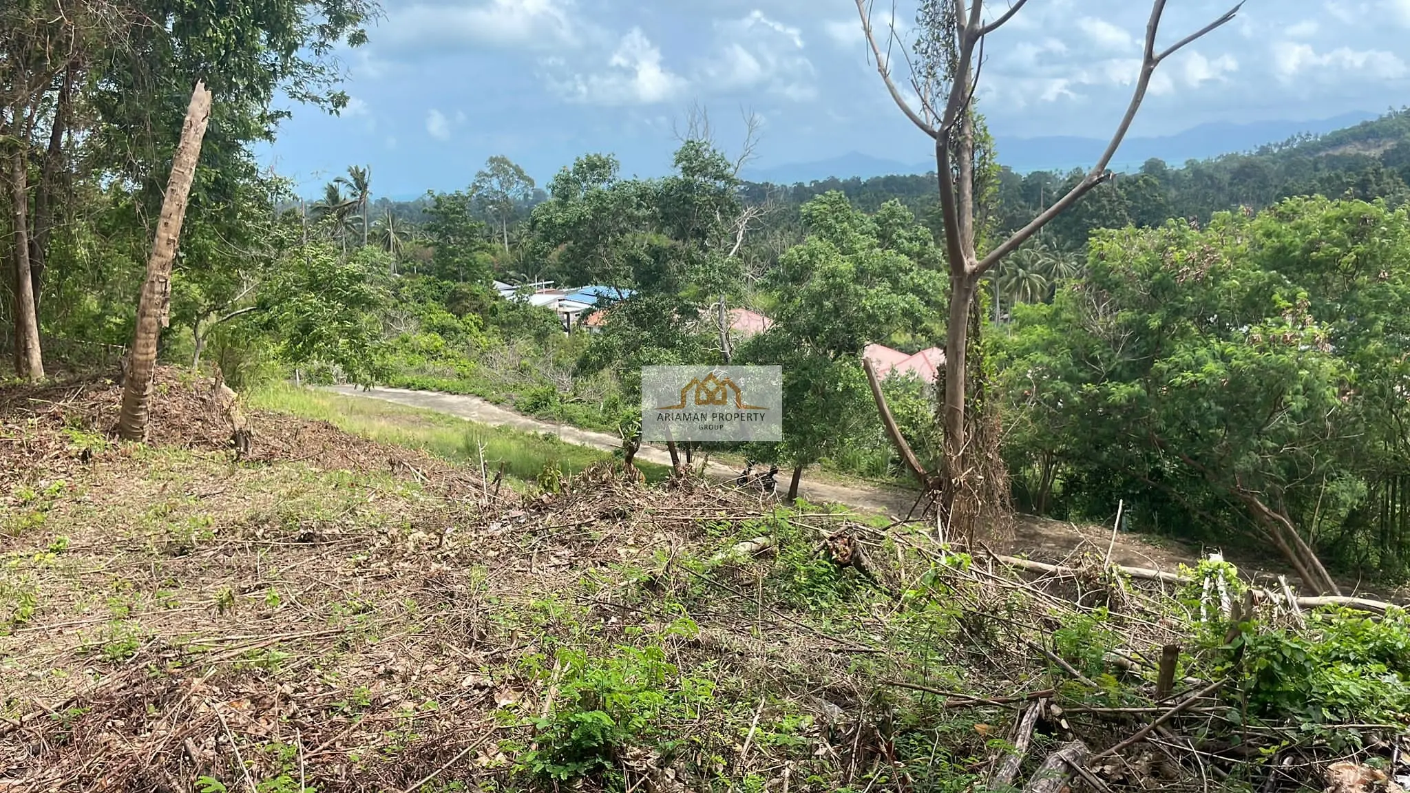 1,200 sqm of Freehold Land in Maenam with Lush Greenery and Mountain Views