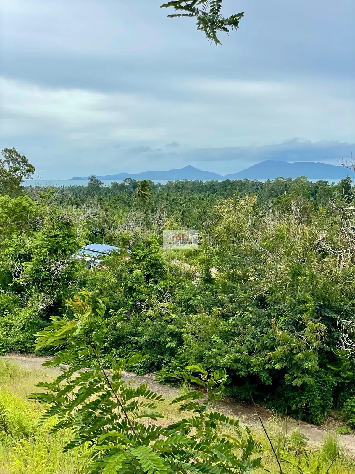1,200 sqm of Freehold Land in Maenam with Lush Greenery and Mountain Views