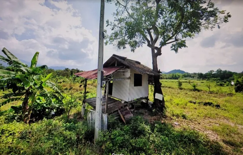 3 ไร่ ของโอกาสที่ดินแปลงดีในลิปานอยที่เขียวชอุ่ม