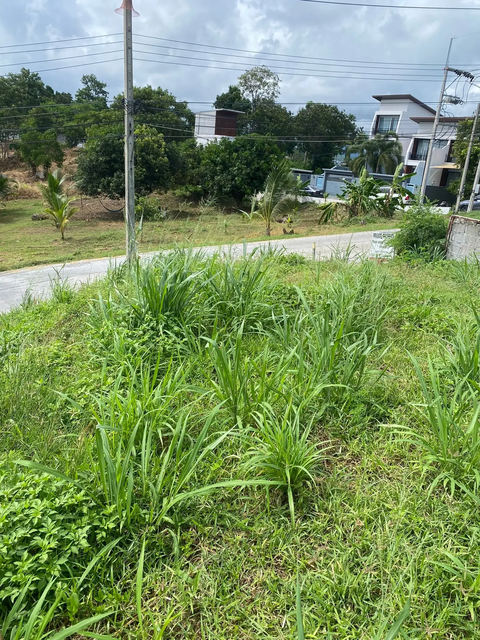 400sqm Seaview Land Freehold In Cheongmon