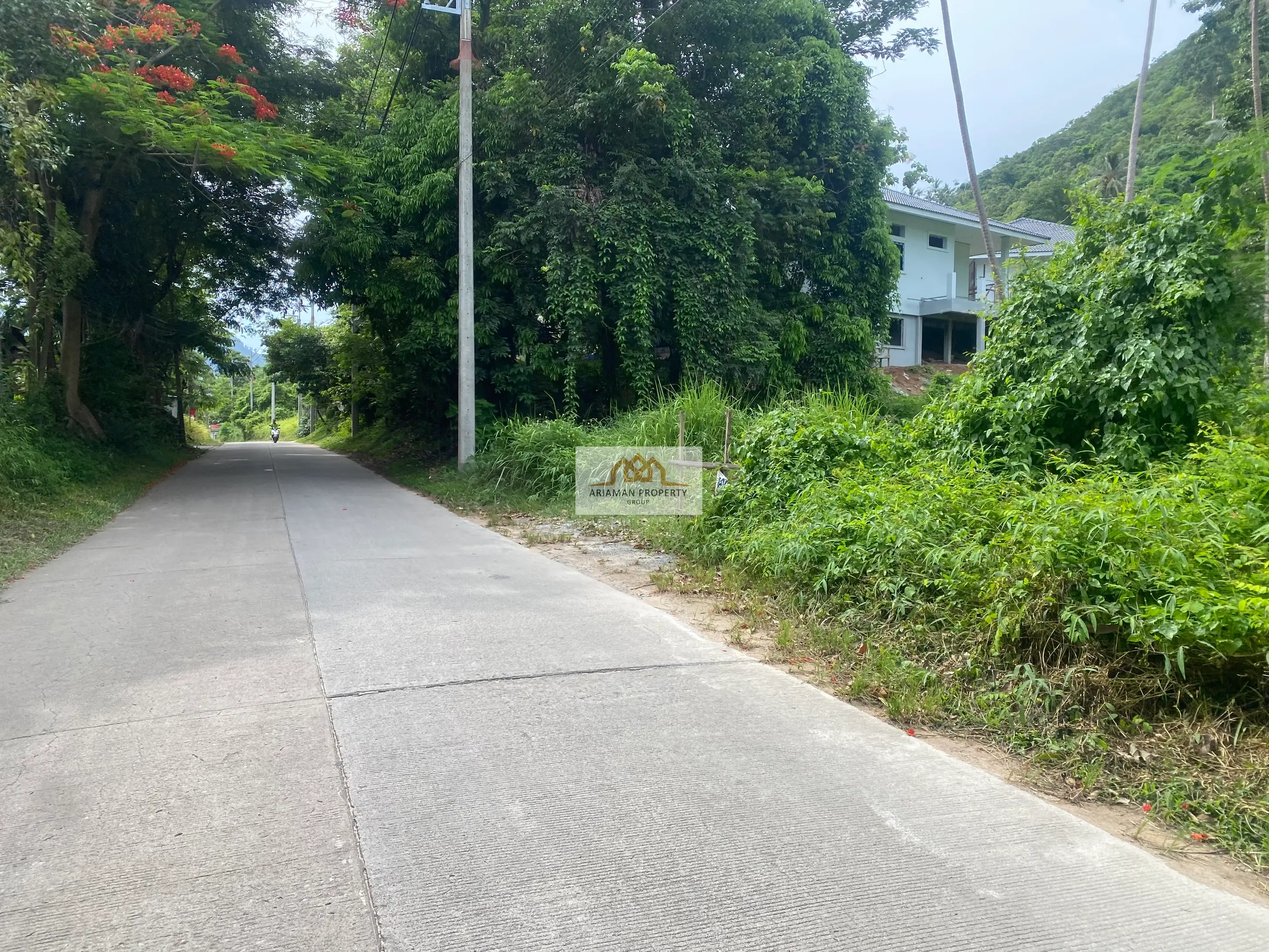 Lease Land: 4 Rai Land Plot in Maret with Paved Road and Lush Tropical Vegetation