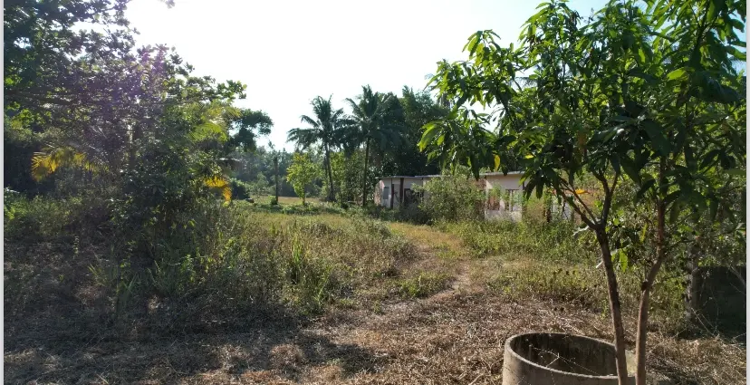 2544 Sqm Development Plot In Maenam Soi 5