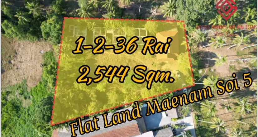 2544 Sqm Development Plot In Maenam Soi 5