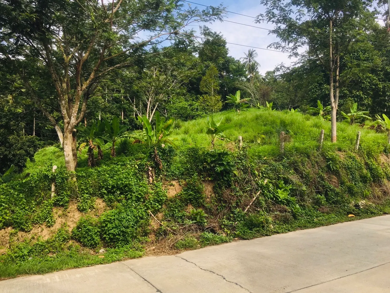 3.5 Rai Of Prime Development Land In Lamai