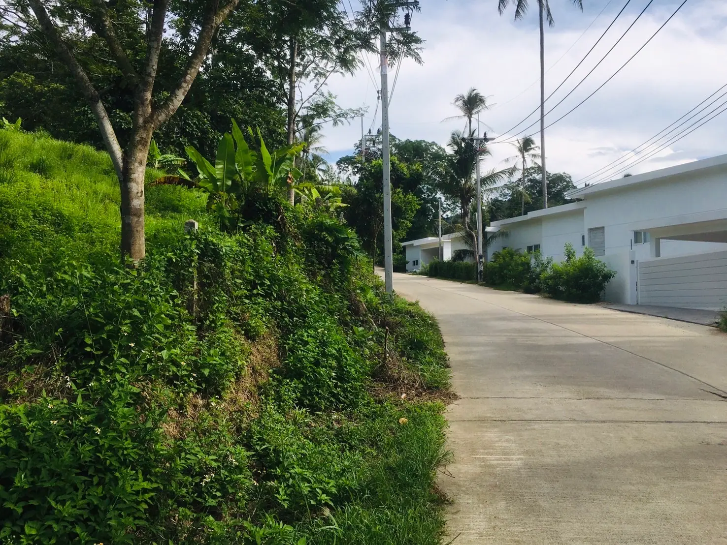 3.5 Rai Of Prime Development Land In Lamai