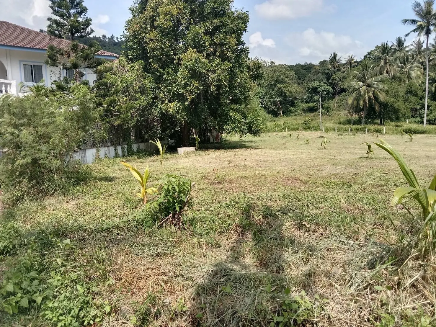 1600 SQM Of Beachfront Land In Plai Laem