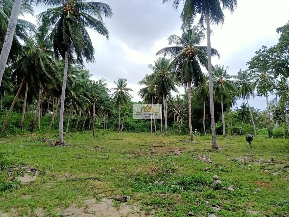 Spacious 10 Rai Freehold Land in BoPhut – Ready for Your Project