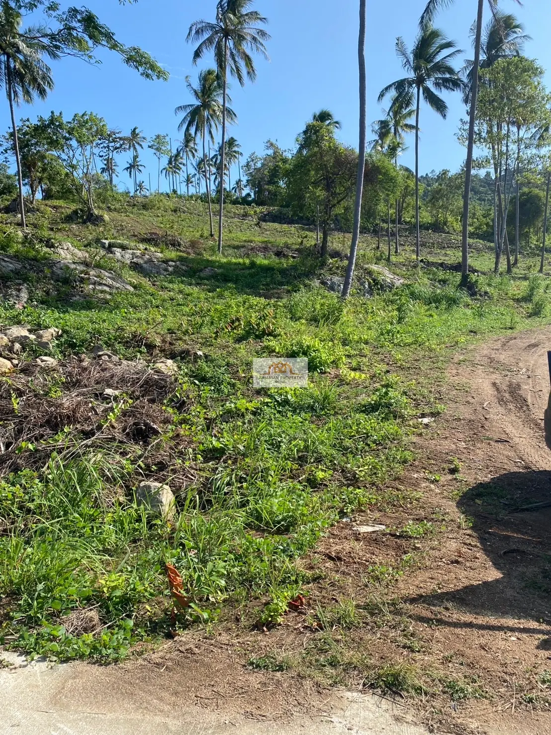 56 Rai Of Sprawling Natural Land with Panoramic Ocean Views in Maret, Ko Samui