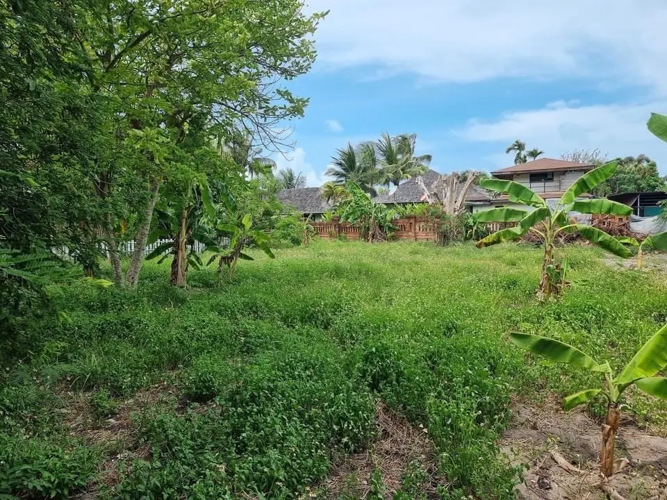 4 Rai of Beachfront Land for Sale in Plai Laem 