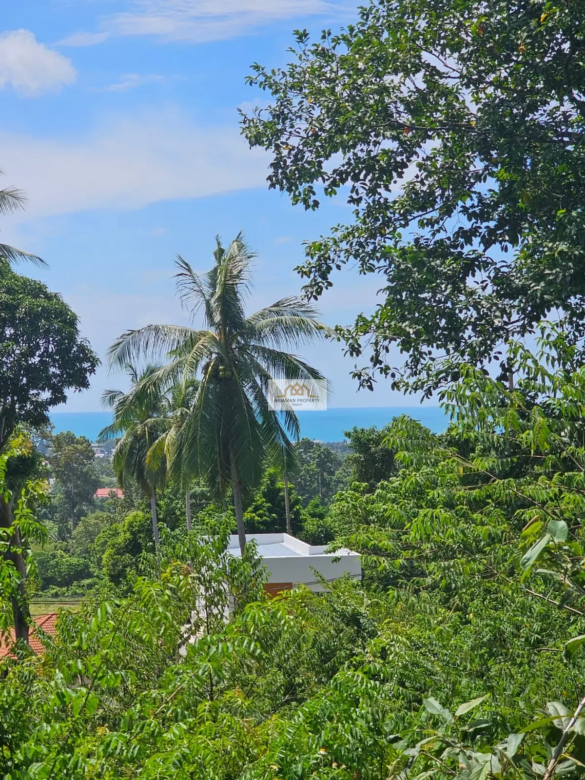 Spacious 1,800 sqm Freehold Land with Ocean Views in Chaweng Hill, Ko Samui