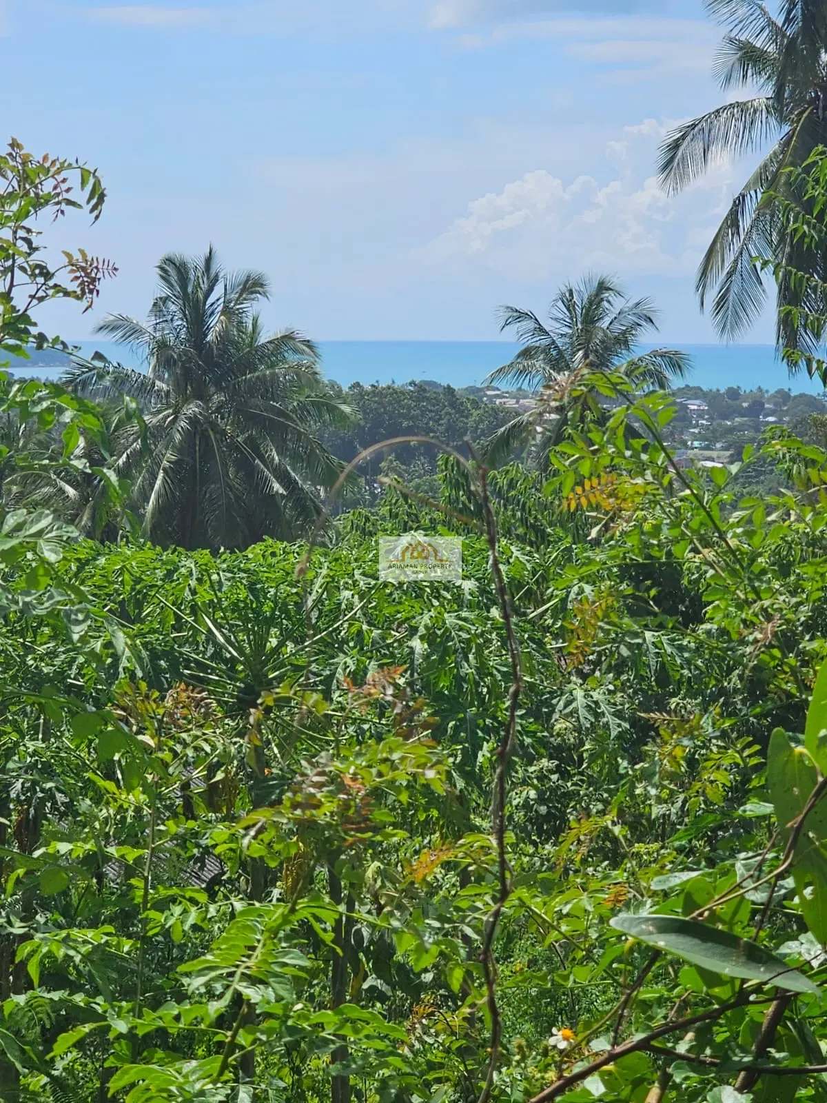 Spacious 1,800 sqm Freehold Land with Ocean Views in Chaweng Hill, Ko Samui