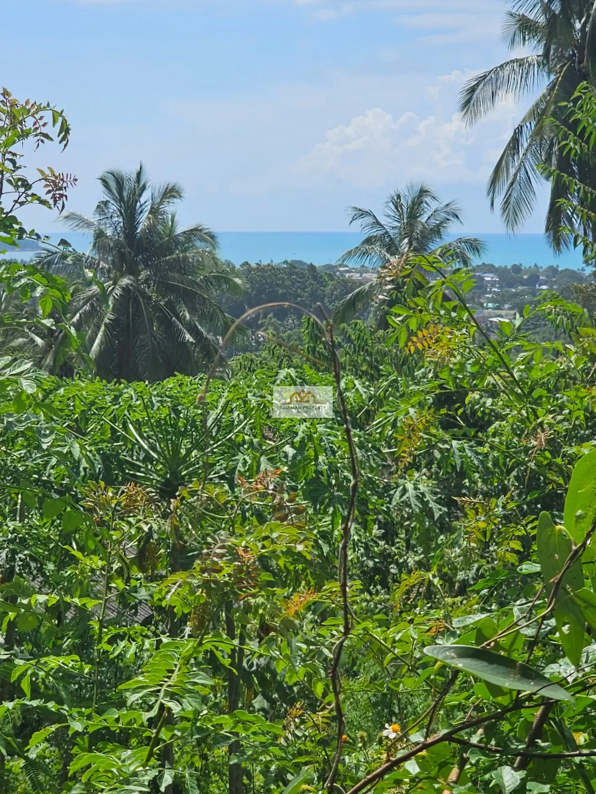 Spacious 1,800 sqm Freehold Land with Ocean Views in Chaweng Hill, Ko Samui