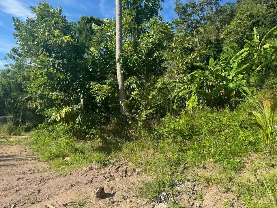 400 SQM Development Land In Lamai 