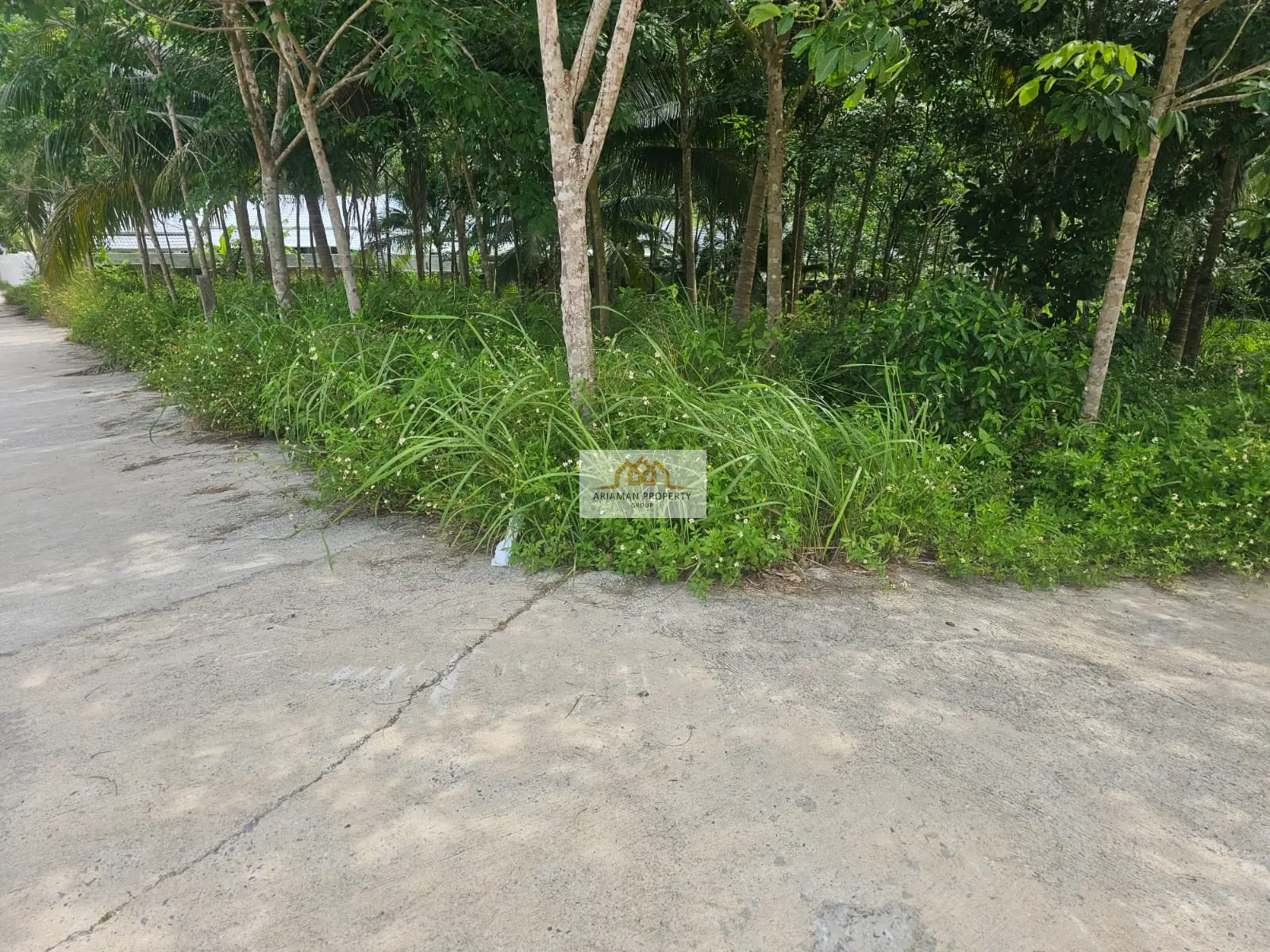 Quiet 800 sqm Freehold Land on a Private Road in Maenam Soi 1, Ko Samui